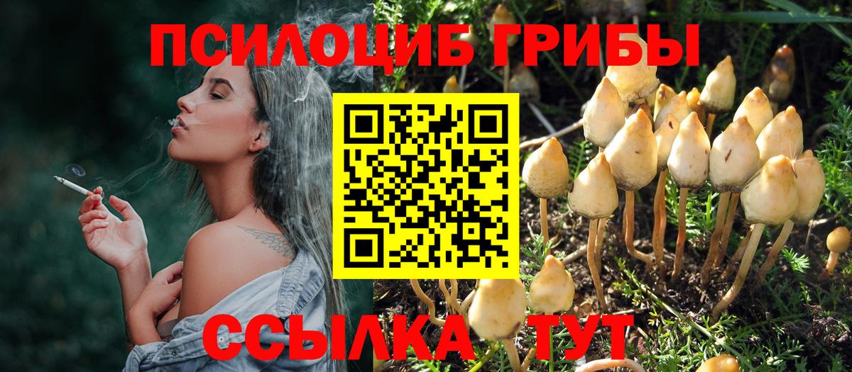 сколько стоит  Вход с VPN  Кирово-Чепецк  Псилоцибиновые грибы Psilocybine cubensis 